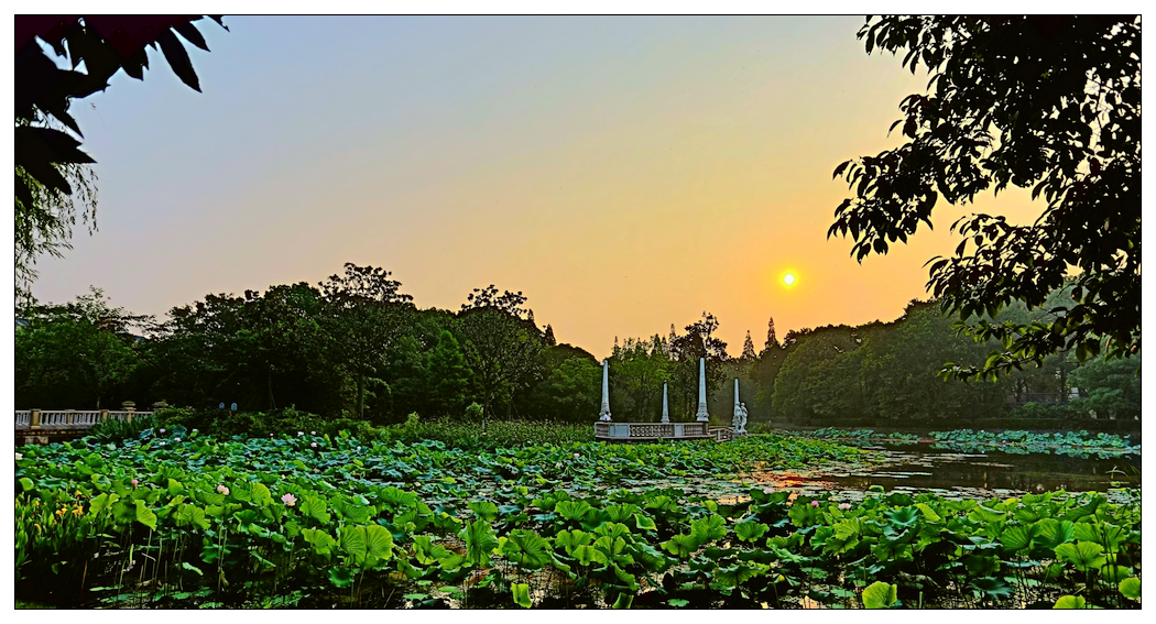 4F9A4982  _5.52 M.jpg