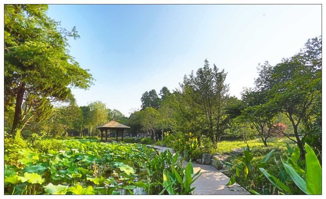 4F9A4945_    668K_.jpg