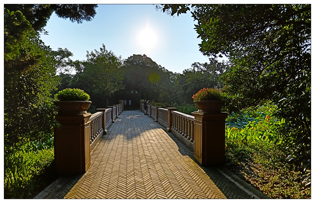 4F9A4903_     787 K.jpg