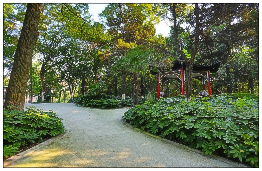 4F9A4895_    969 K.jpg