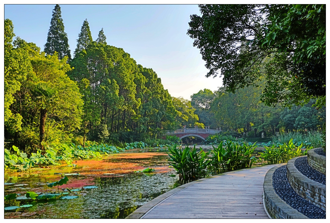 4F9A4933_   924 K.jpg