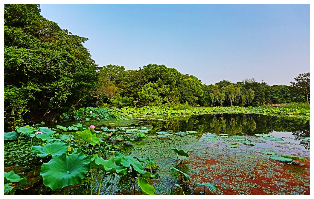 4F9A5065_   764 K.jpg