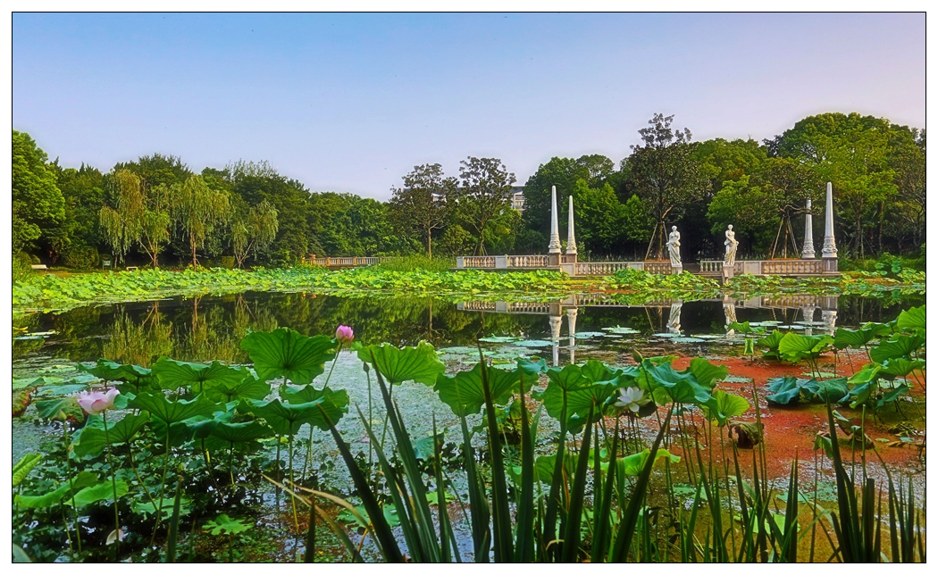 4F9A5061_    720 K_.jpg