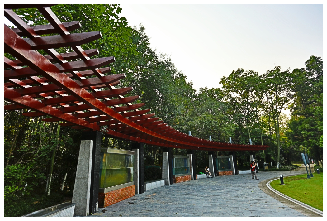 4F9A5034_   698 K.jpg