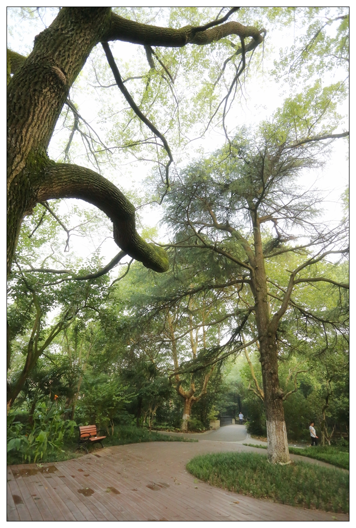 4F9A4967_   760 K.jpg