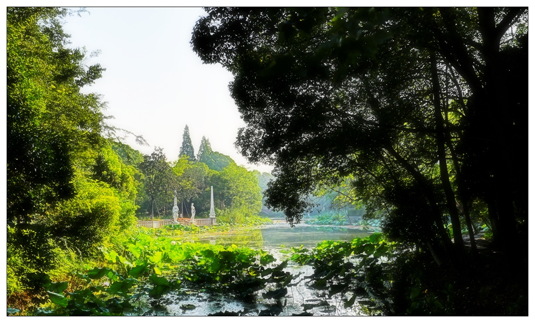 4F9A4965_    644 K.jpg