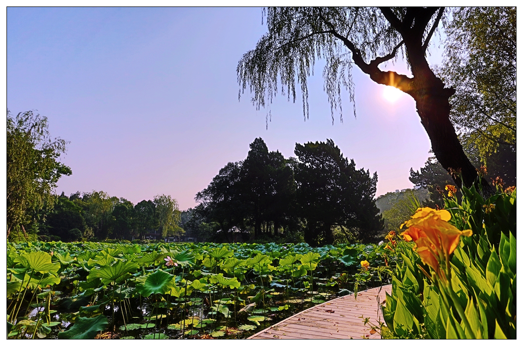 4F9A5096_   717 K.jpg