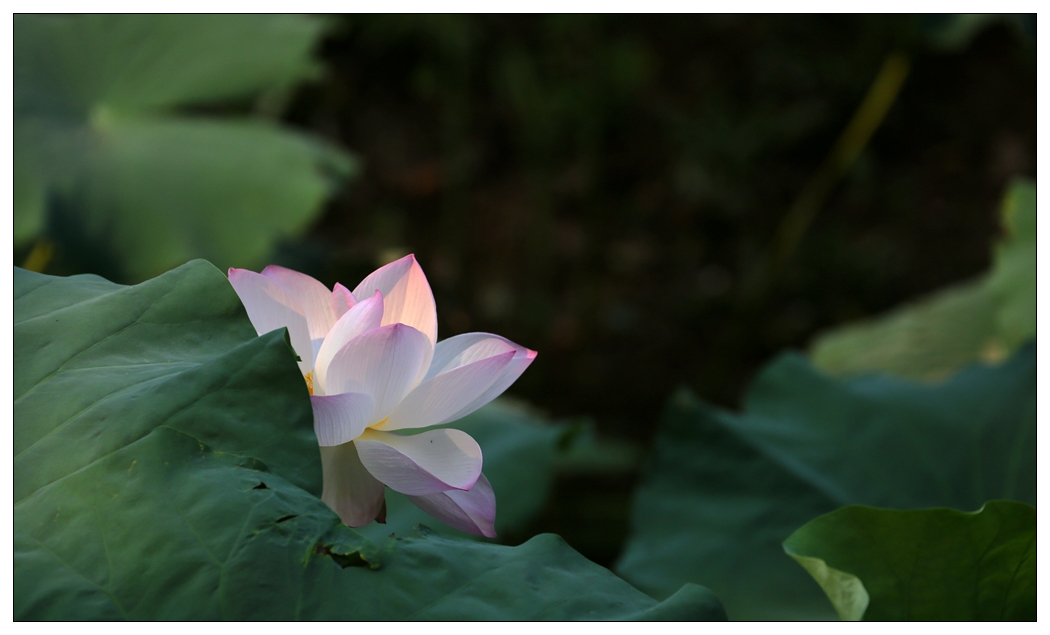 4F9A5075_     326 K.jpg