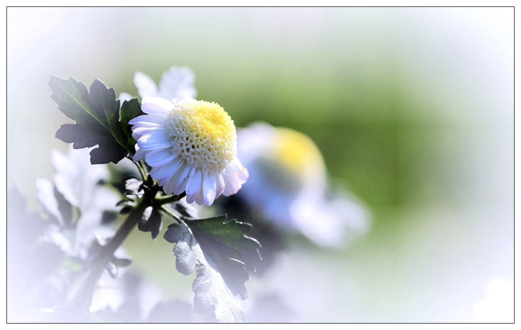 4F9A5852_    308 K.jpg