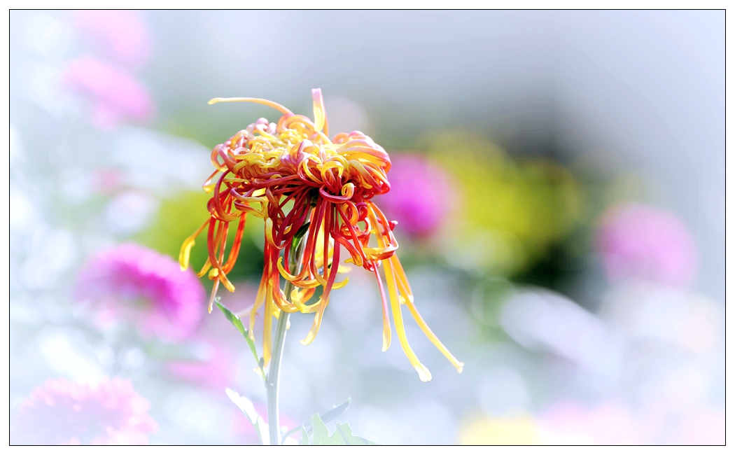 4F9A5923_    329  K.jpg