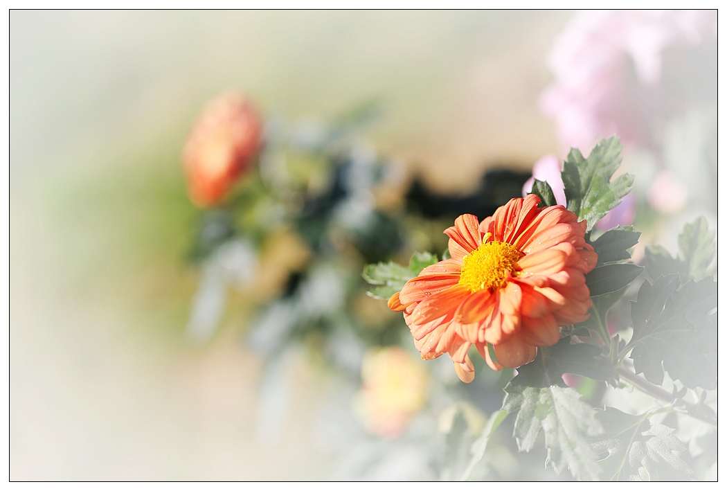 4F9A5914_    375 K.jpg