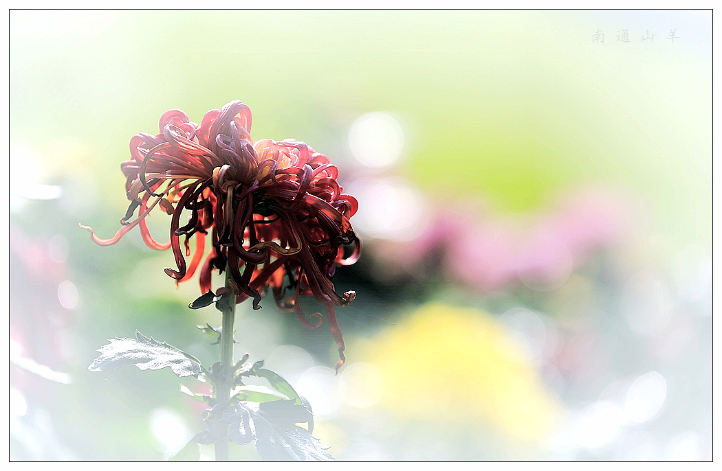 4F9A5846_   389 K.jpg