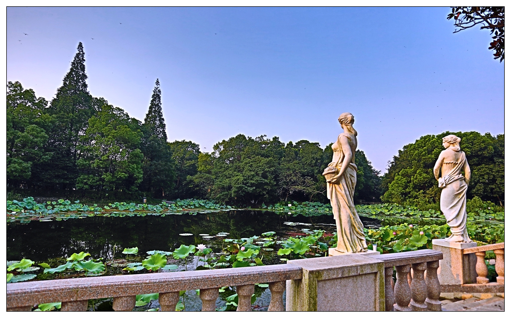 4F9A5014_   640 K.jpg