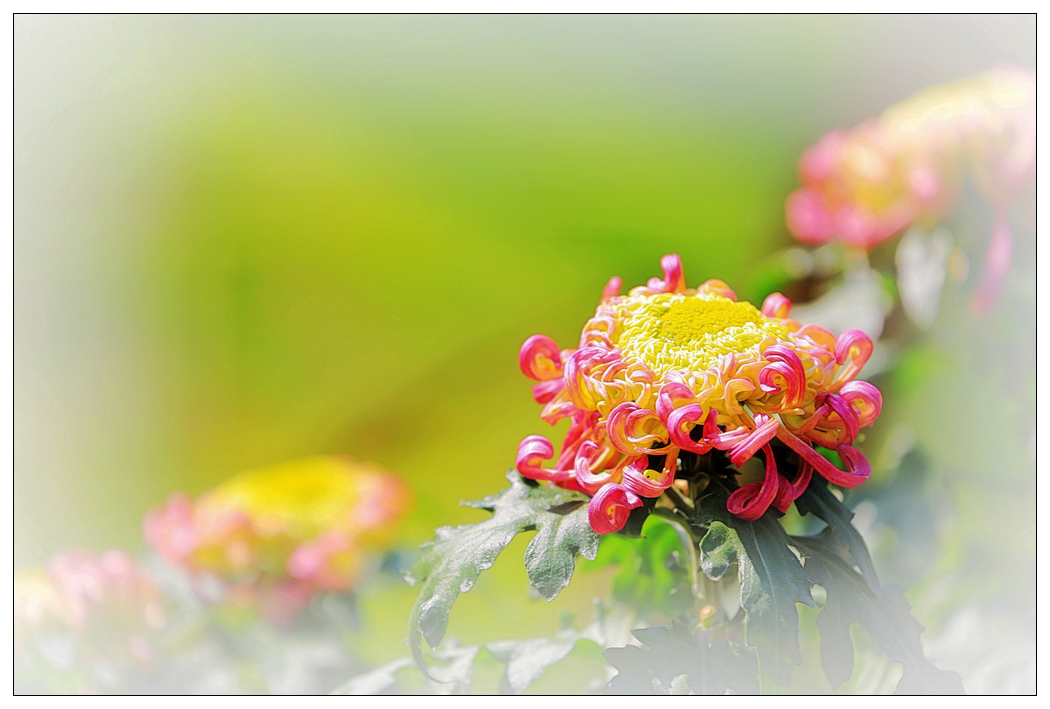 4F9A5912_   5.86 M.jpg