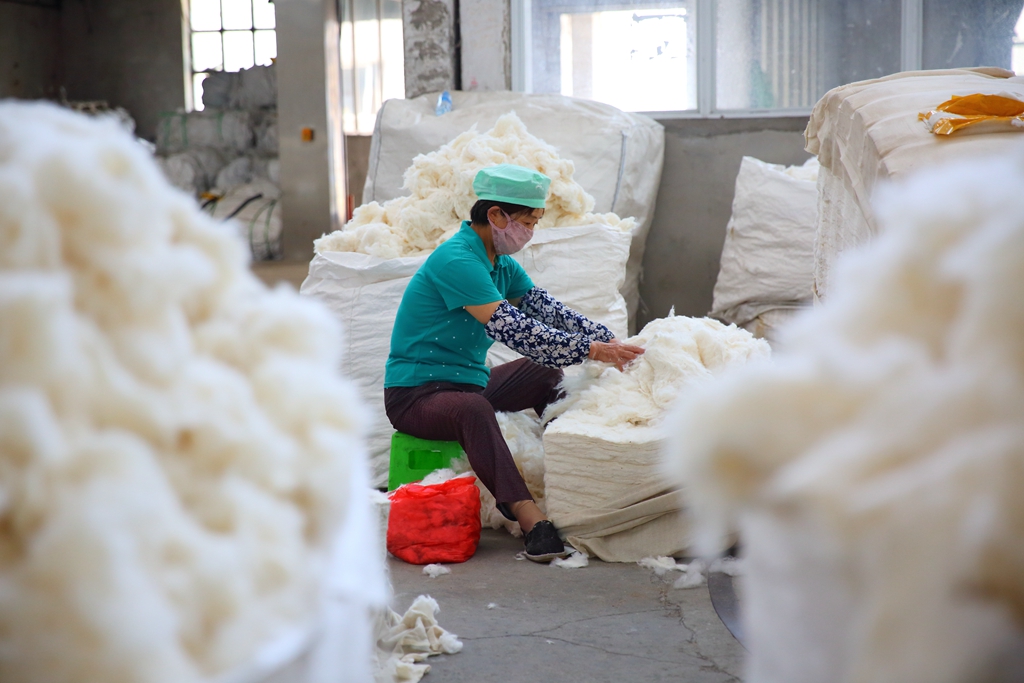 捡棉工.jpg