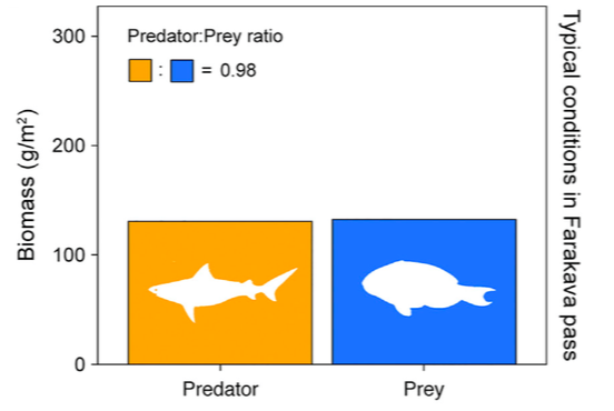 海峡里的“梁山好汉”：鲨鱼是怎么拦路打劫的
