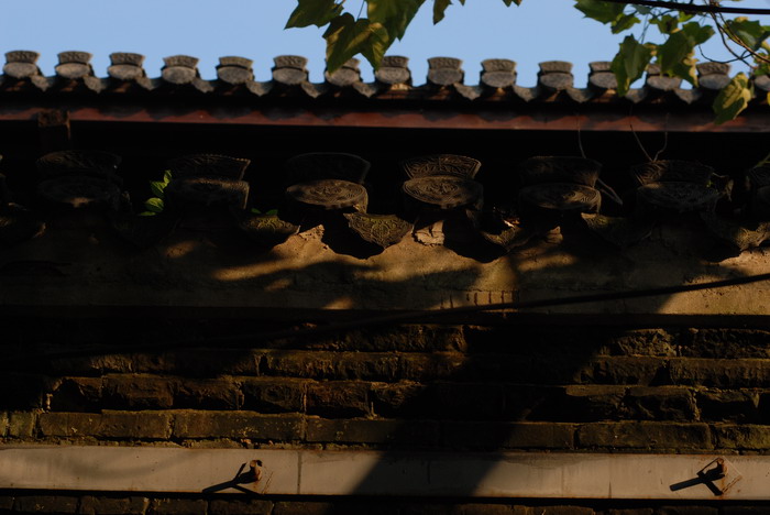 DSC_5847_缩小大小.JPG