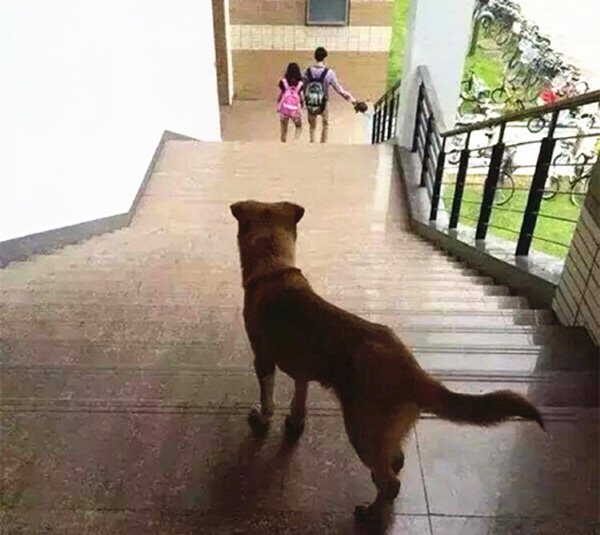 澎湃联播|“那个人好奇怪，好像一条狗啊”