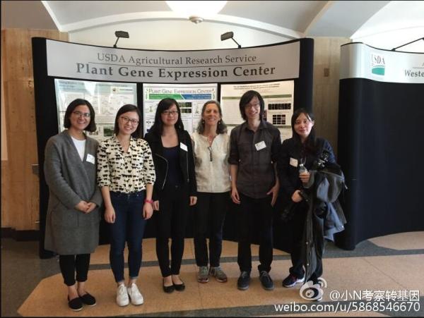 美国对转基因态度到底咋样？一群中国年轻人重走崔永元之路