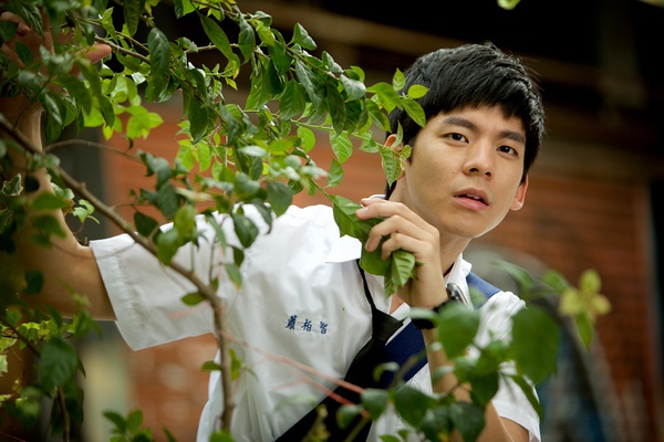 即使你觉得“青春片”是贬义词，也别错过《六弄咖啡馆》