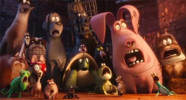 《爱宠大机密》：萌过，笑过，看过