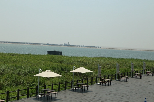 书店测评｜上海三联书店金山城市沙滩店∶上海第一家海滩书店