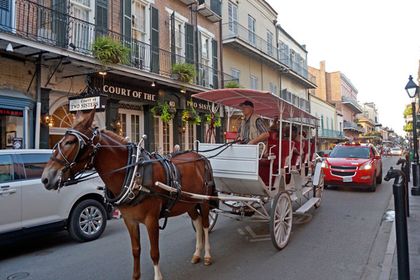 歌于乐土：一场旅行读懂流行音乐