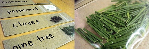 生活到底是什么？这些小游戏只为让孩子去听、看和感受