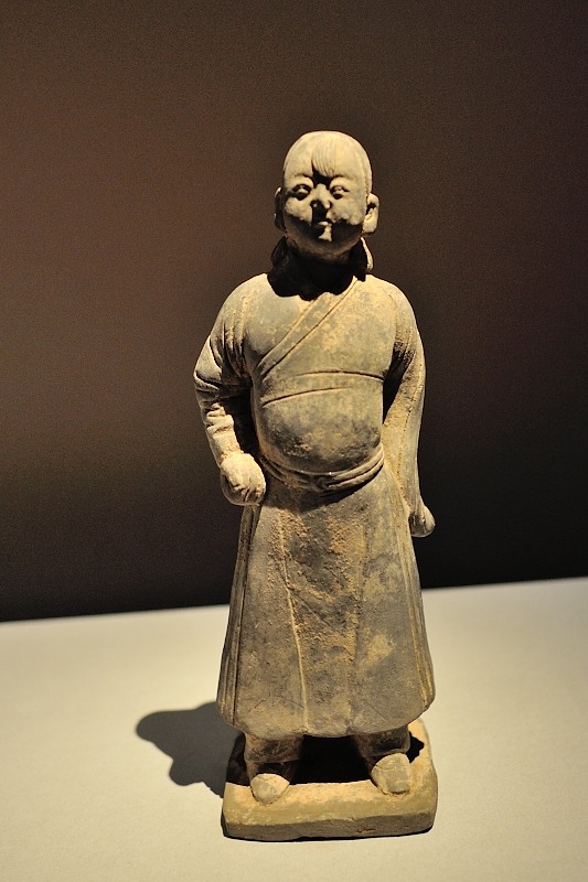 胖宠物总是萌的，为什么胖子却总感受到深深的恶意