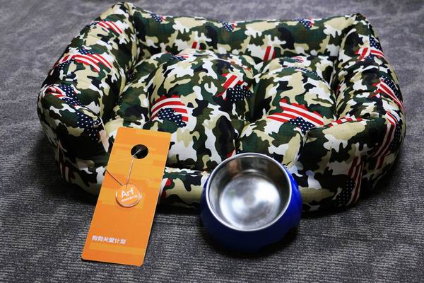 跟着主人去度假，汪星人也可以住得舒适又体面