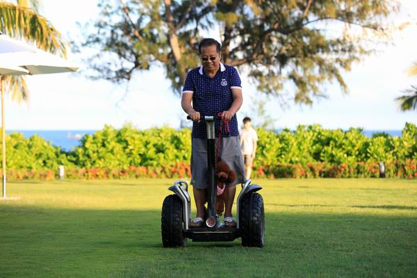 跟着主人去度假，汪星人也可以住得舒适又体面