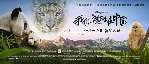 海报栏｜下周电影密集，记得顶好锅盖