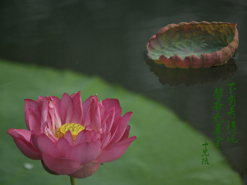 P8059734 - 副本.JPG