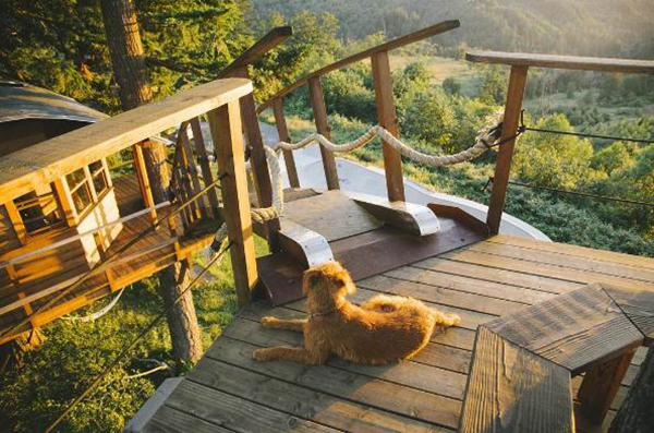 这个住在树屋的男人，实现了我们全部的儿时梦想