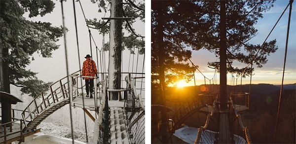 这个住在树屋的男人，实现了我们全部的儿时梦想