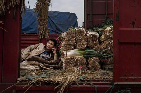 中国7月份CPI同比上涨1.8%，PPI环比由降转升