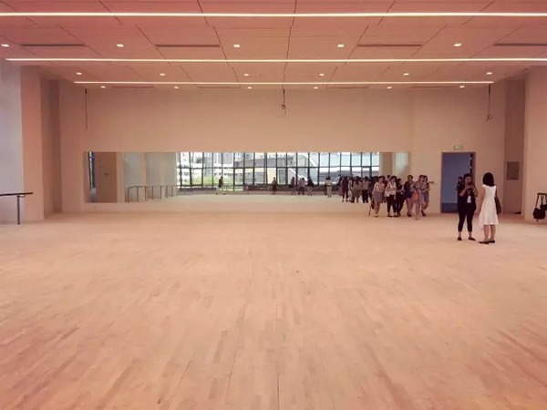 读图｜中国几代舞蹈家的梦想，在上海实现了