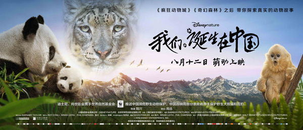 好想冲进银幕，去保护它们