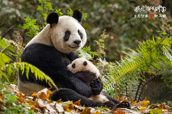 好想冲进银幕，去保护它们