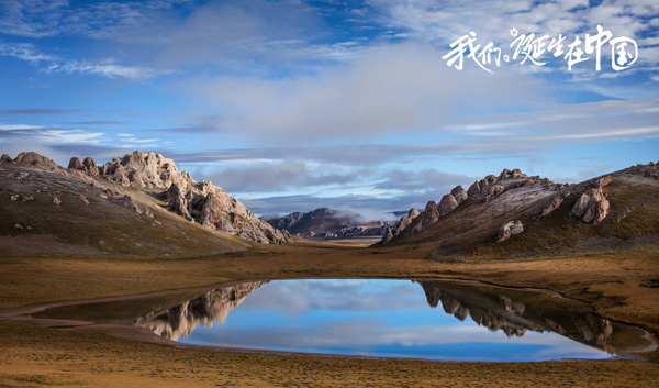 好想冲进银幕，去保护它们