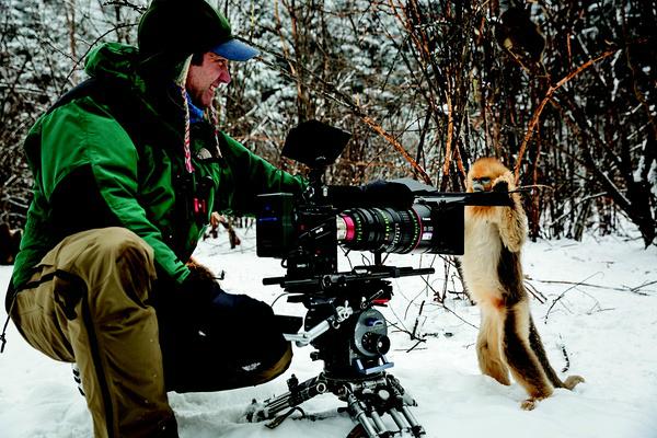 好想冲进银幕，去保护它们