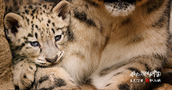 好想冲进银幕，去保护它们