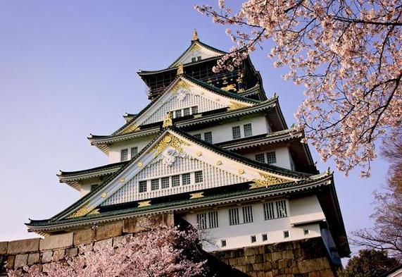 范爷的新剧又演“大女人”，这女人大到什么程度