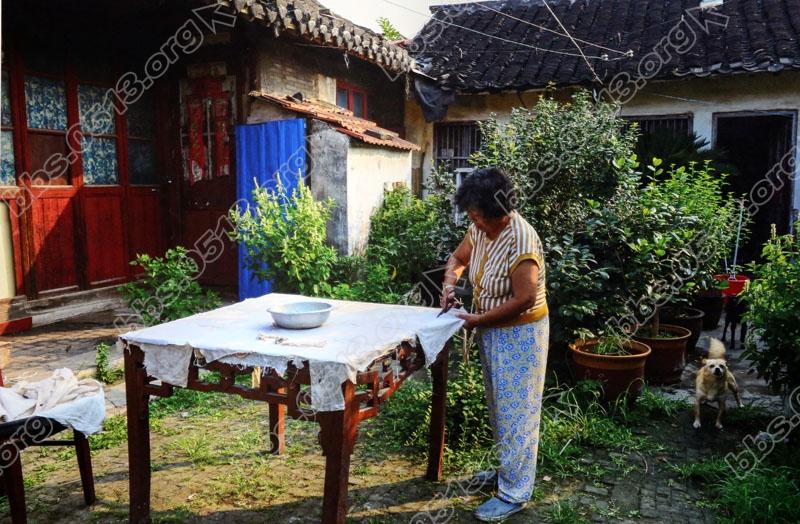 糊衬子 作者 沈媛媛.jpg