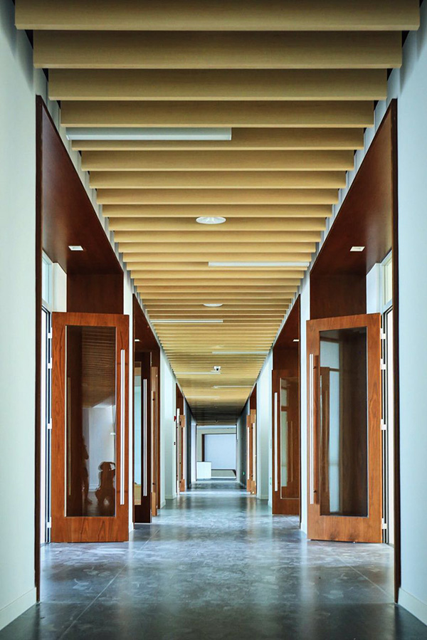 这将是我们大家的舞蹈中心，既有高雅演出，也欢迎广场舞大妈