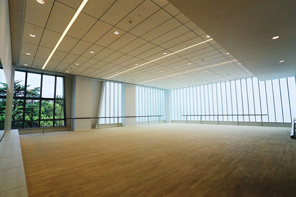 这将是我们大家的舞蹈中心，既有高雅演出，也欢迎广场舞大妈