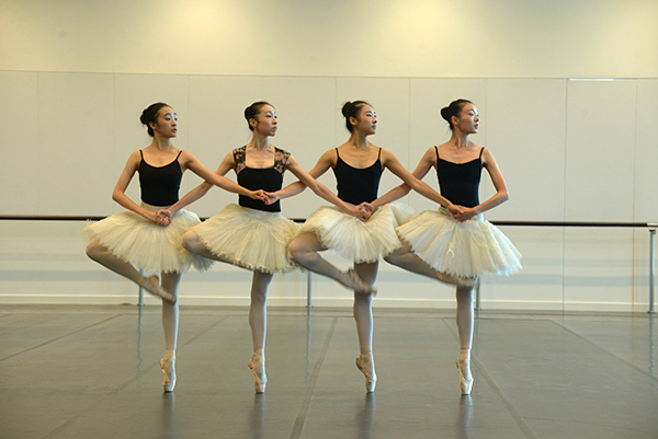 这将是我们大家的舞蹈中心，既有高雅演出，也欢迎广场舞大妈