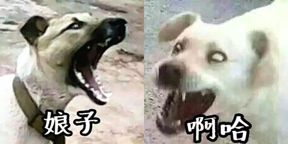 澎湃联播|学点经济学，离婚也不怕