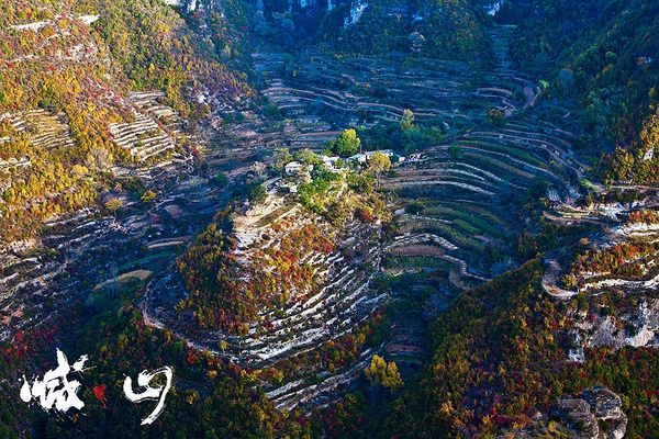 农村题材不一定就得拍得土，比如《喊·山》