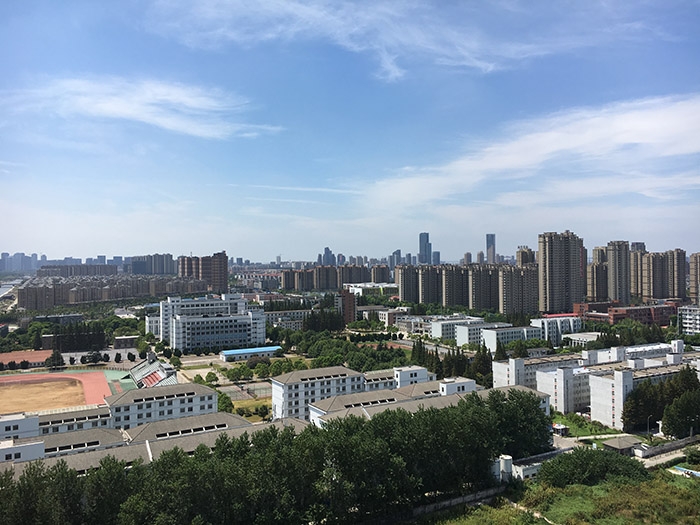 绿地新都会 风景 2.jpg